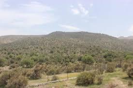 چای آتشی در صبح سرد قرق گاه+آلبوم تصاویر