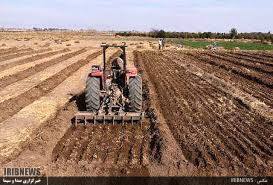 آغاز کاشت غلات در شهرستان چرداول