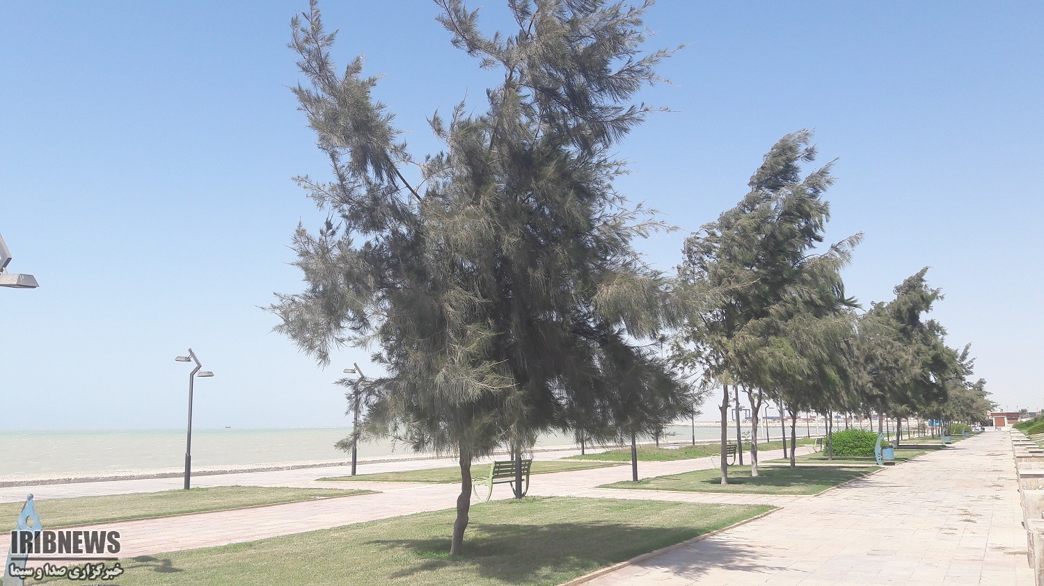 کاهش محسوس دما در استان بوشهر