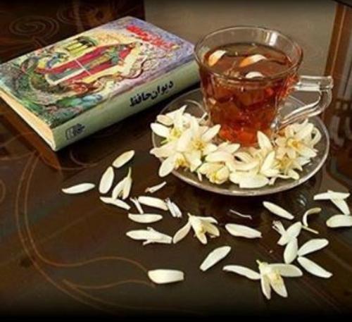 گردهمایی زنان نویسنده کشور در جهرم