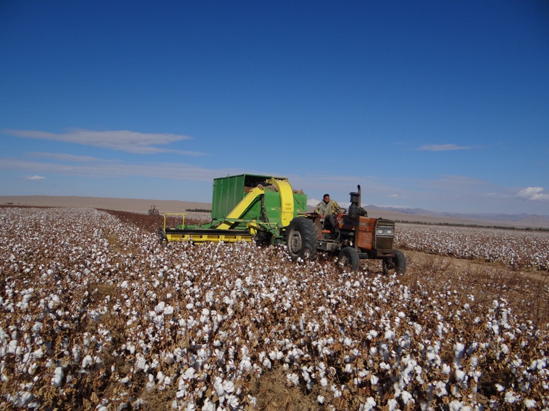 کشت مکانیزه 50 درصد  محصولات زراعی بردسکن