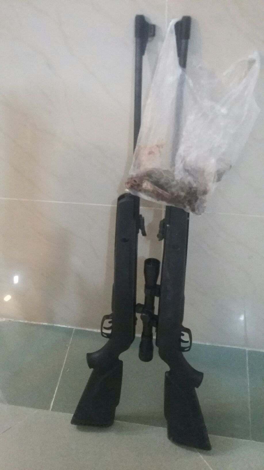 دستگیری چهار متخلف شکار و صید دستگیری چهار متخلف شکار و صید