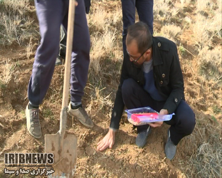 گزارش مکتوب: چهارمحال و بختیاری، قطب بزرگ تولید گیاهان دارویی کشور