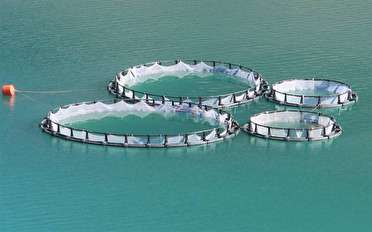 جمهوری اسلامی در فکر نزاع با کشور‌های منطقه نیست