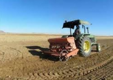 آغاز کشت گندم در امیدیه&nbsp;