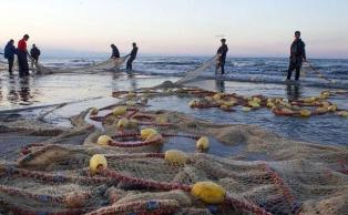 پایان صید ماهیان استخوانی در مازندران