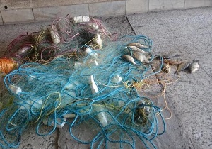 دستگیری صیادان غیر مجاز در مرودشت