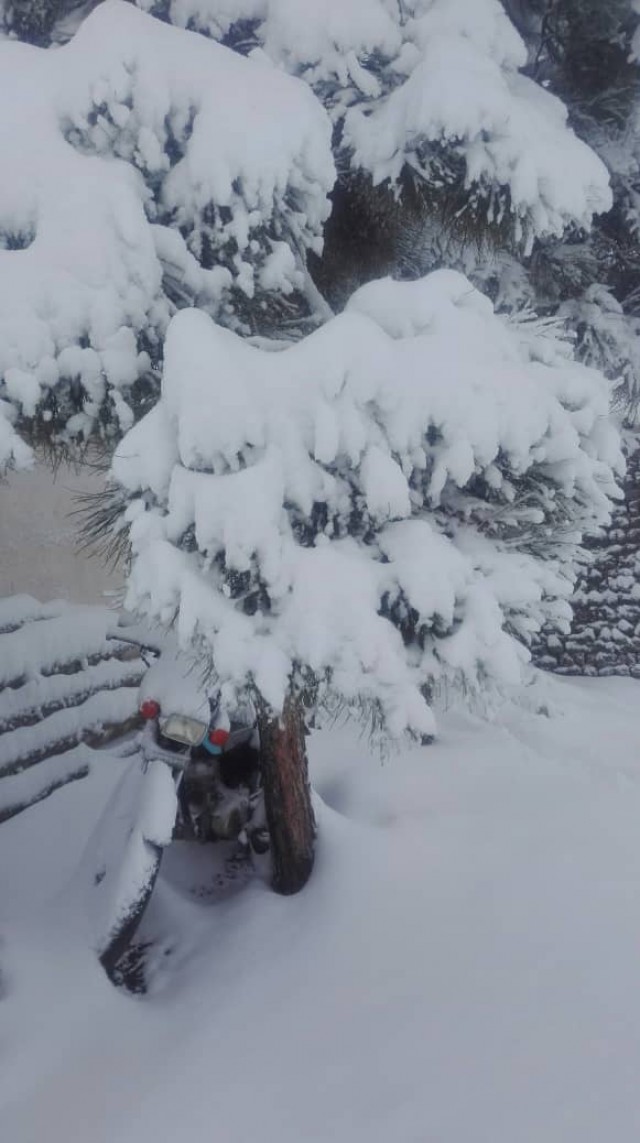 بی سابقه بودن حجم بارش برف در خراسان رضوی  در 10 سال اخیر