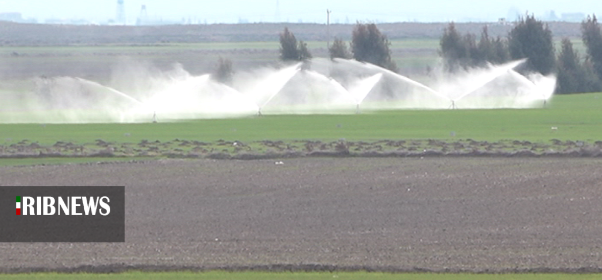 حال محصولات کشت پائیزه خوب نیست