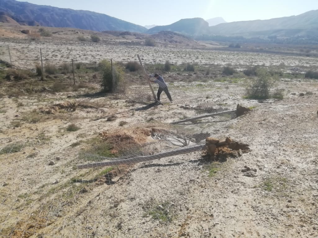 کوتاه شدن دست متصرفان  متخلف فراشبند