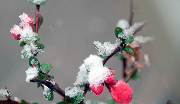 برگزاری سنت‌های زیبا با فرا رسیدن بهار محلی