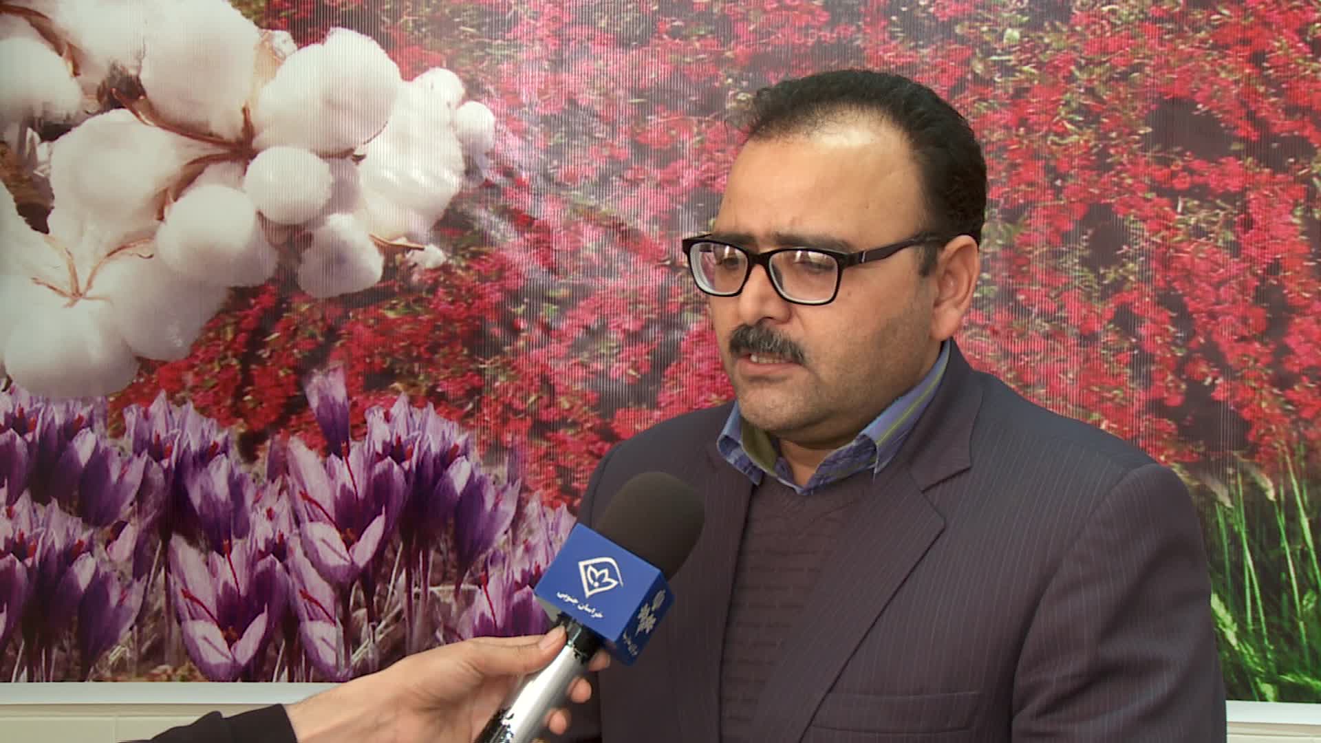 آغاز خرید توافقی زعفران از کشاورزان خراسان جنوبی آغاز خرید توافقی زعفران از کشاورزان خراسان جنوبی