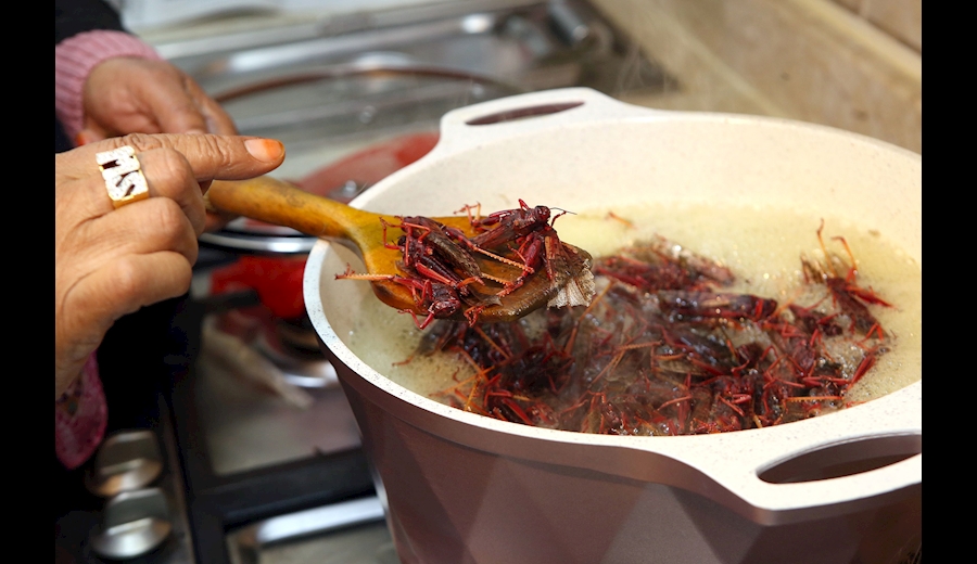 تصاویر برگزیده خبری