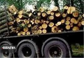 کشف بیش از ۱۰ تن چوب قاچاق کشف بیش از ۱۰ تن چوب قاچاق