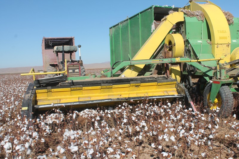 خرید دو دستگاه قوزه چین پنبه در بردسکن