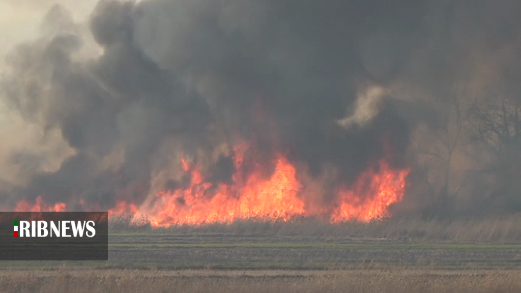 مهار آتش سوزی جنگلهای رود ارس در پارس آباد