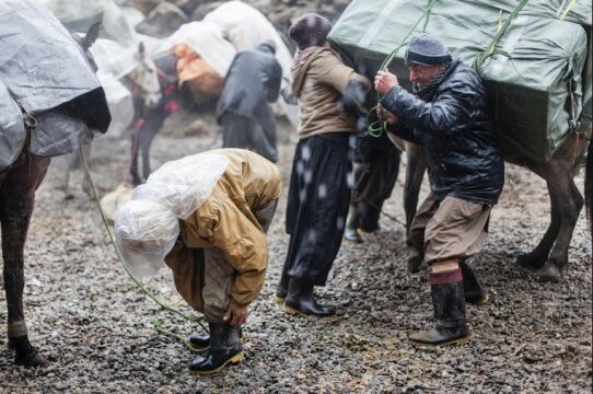 مرگ به وقت کولبری...