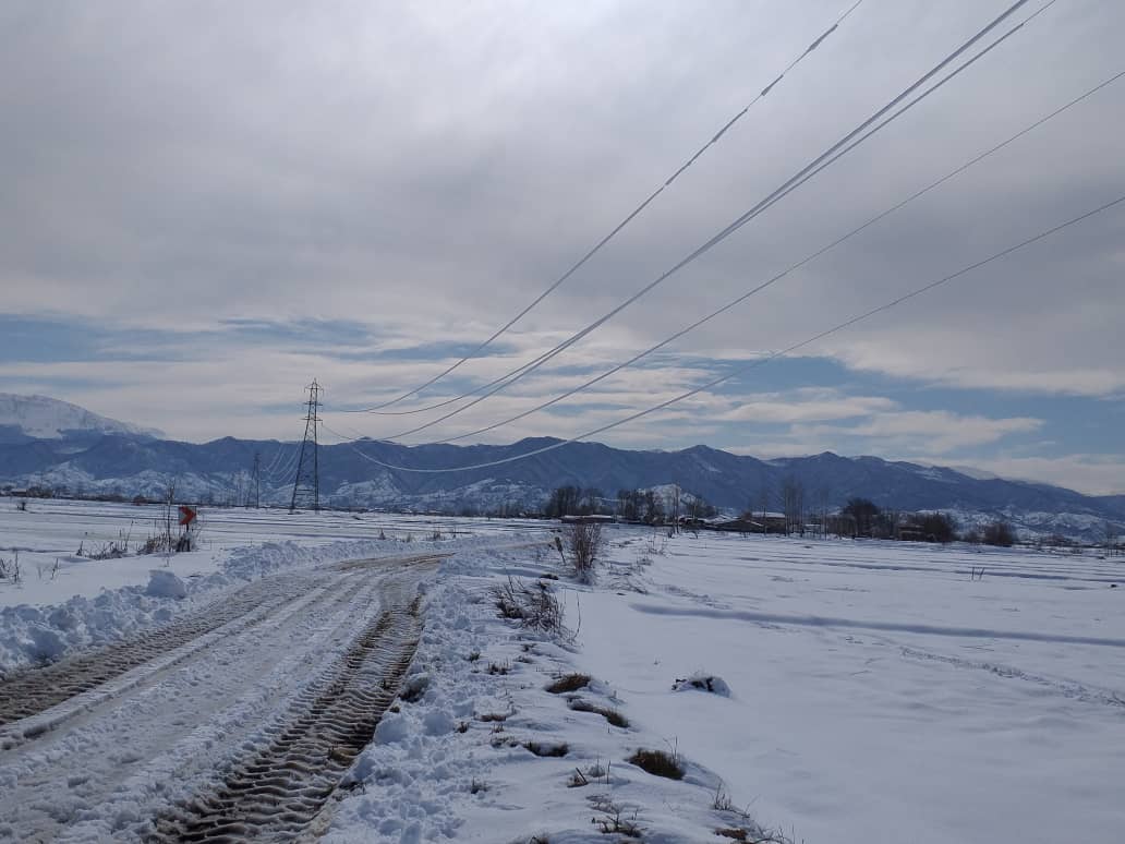 تلاش ۱۹۵ مامور برق برای رفع مشکل قطعی در گیلان+عکس