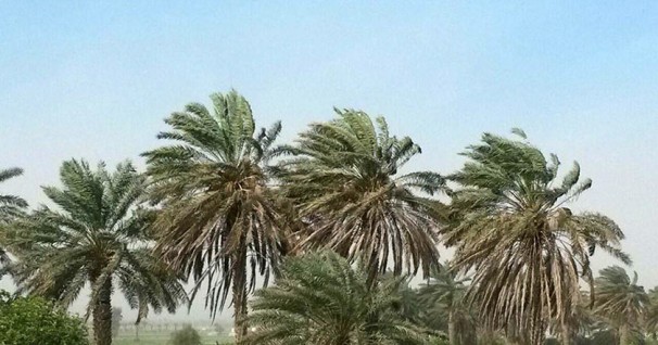 تشدید یخبندان در خراسان جنوبی تشدید یخبندان در خراسان جنوبی