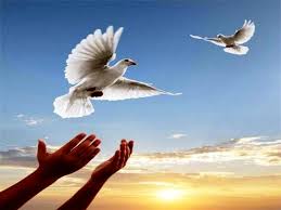 آزادی یک مادر زندانی با کمک زرگر یزدی