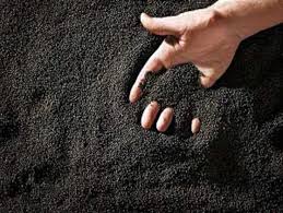 قوی با دانه‌های روغنی