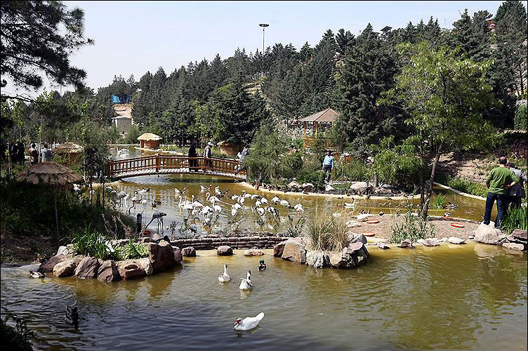 باغ پرندگان تهران تعطیل شد