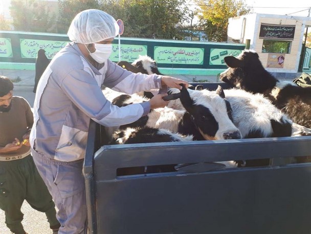 صدور بیش از 4 هزار مجوز حمل بهداشتی قرنطینه&zwnj;ای در باخرز