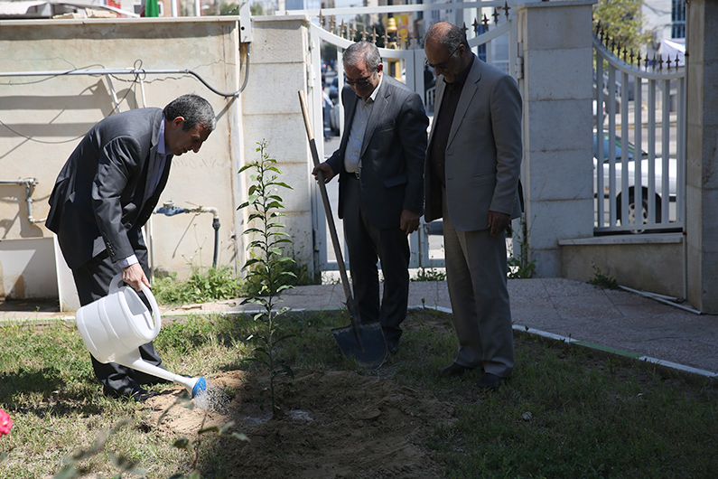 توزیع ۳۰ هزار اصله نهال در استان بوشهر در هفته منابع طبیعی