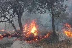 مهار حریق در باغ‌های پسته اردکان