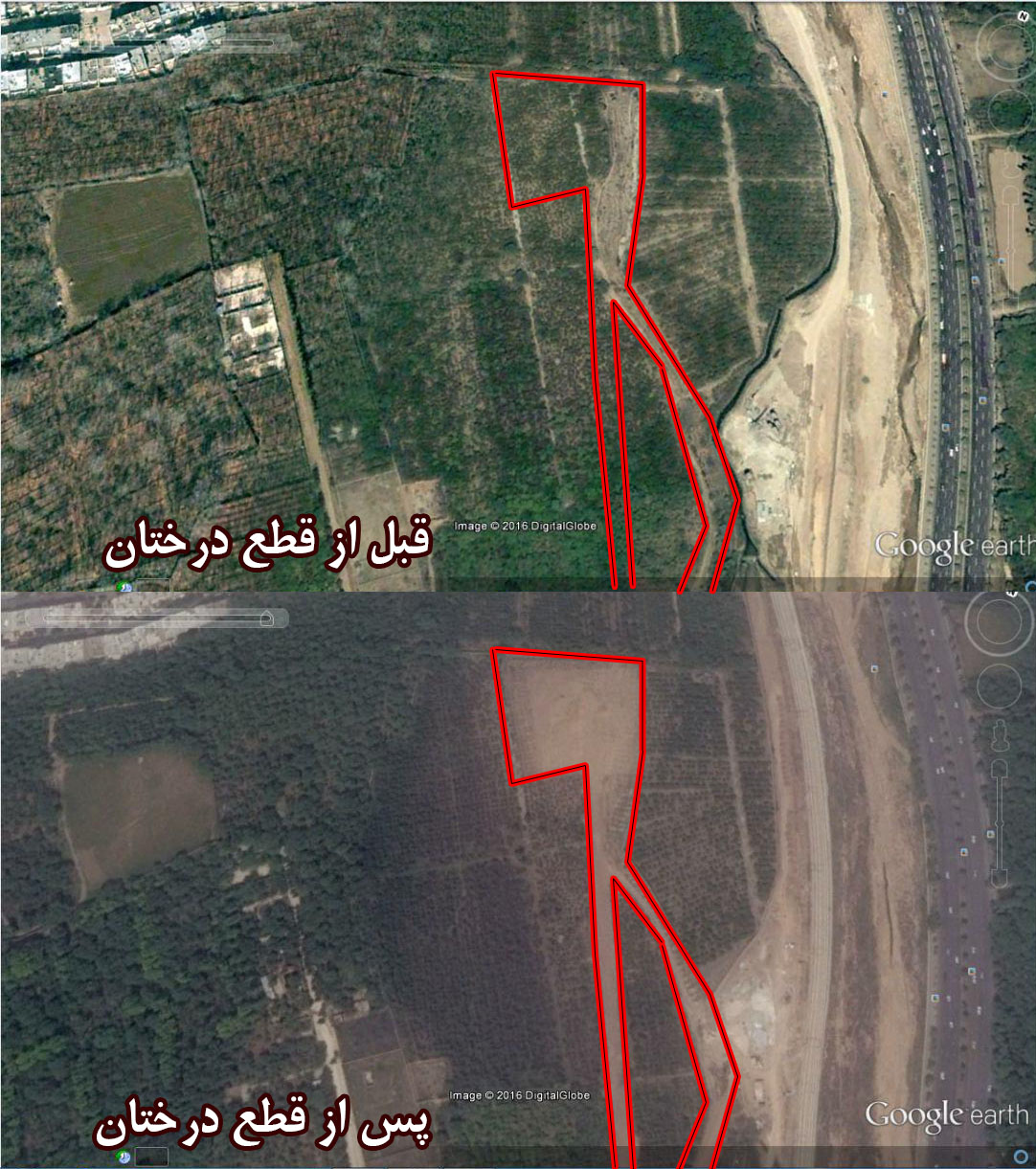 از بین رفتن ۷۰ درصد از باغ&zwnj;های شیراز