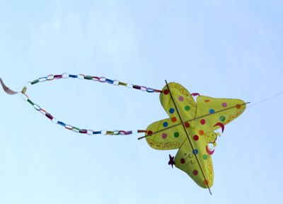 پرواز بادبادک&zwnj;ها&nbsp;بر فراز شهر