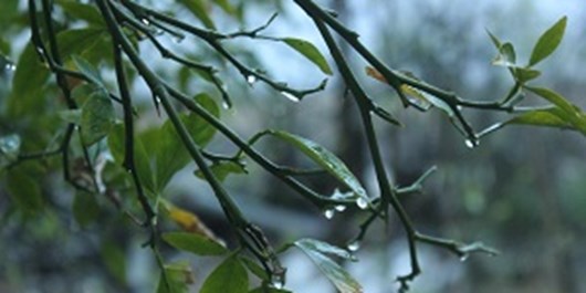 بارش رگباری باران و کاهش 10 درجه دمای هوا