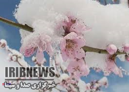 بارش&nbsp; برف در زنجان