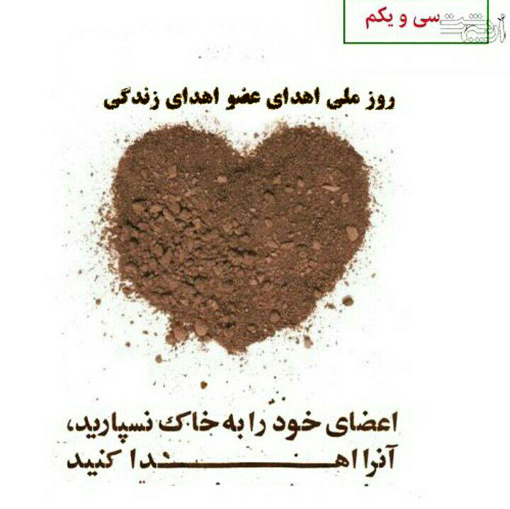 سلام زندگی سلام زندگی