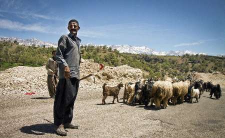 اجرای طرح ملی مدیریت و کنترل کوچ در استان اصفهان