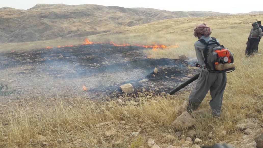 200هکتار از مراتع شهرستان مرزی دهلران طعمه حریق شد .