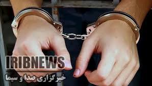 دستگيري سارق اماکن خصوصی در ابهر