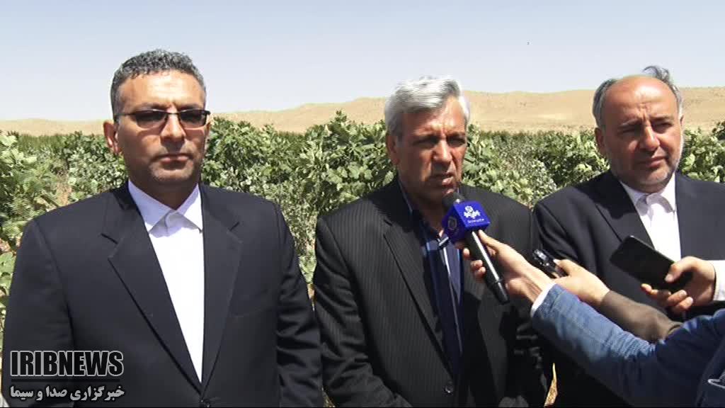 تجهیز 75 هزار خانوار عشایری به پنل انرژی خورشیدی