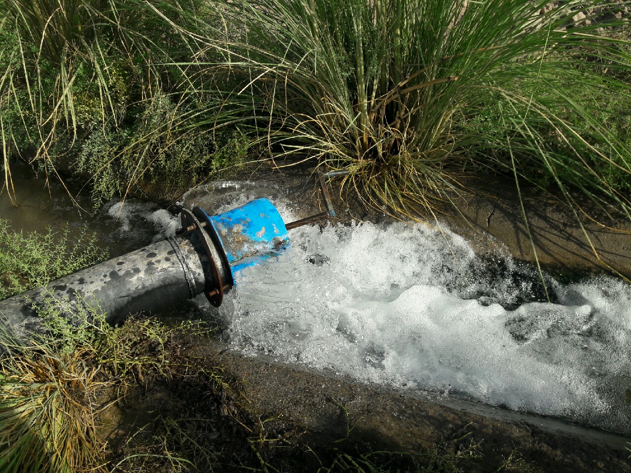 افتتاح 4 طرح کشاورزی در شرق استان