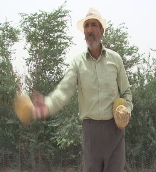 با یک گُل هم بهار می شود با یک گُل هم بهار می شود