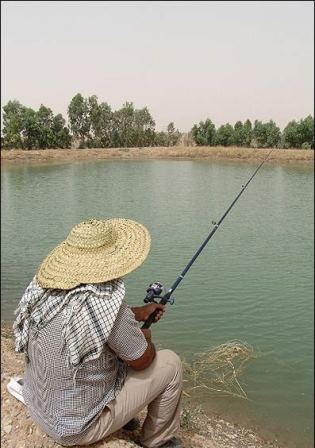 با یک گُل هم بهار می شود