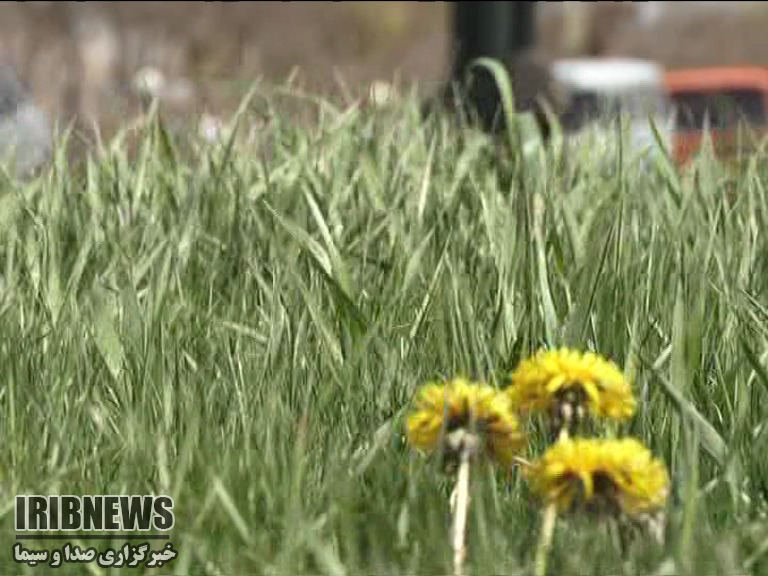 آسمان زنجان قسمتی ابری