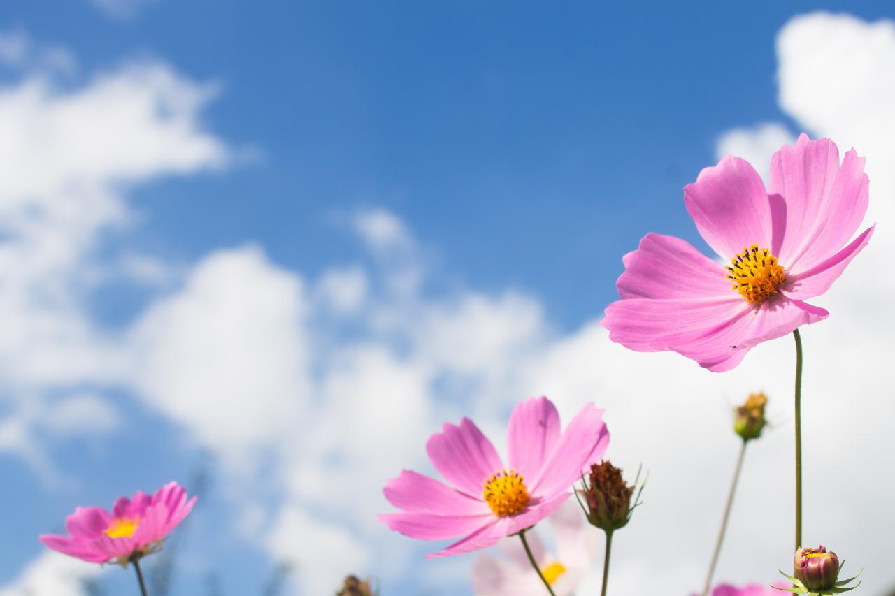 کاهش ۸ تا ۱۰ درجهای دمای هوا در استان قزوین کاهش ۸ تا ۱۰ درجهای دمای هوا در استان قزوین