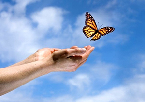 رهایی ۱۷ زندانی جرایم غیر عمد از زندان‌های فارس