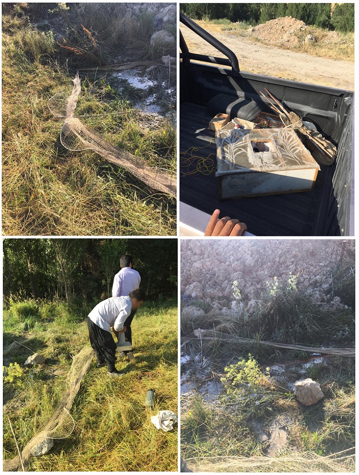 صیادان متخلف هنگام ارتکاب جرم در شهرکرد صیادان متخلف هنگام ارتکاب جرم در شهرکرد