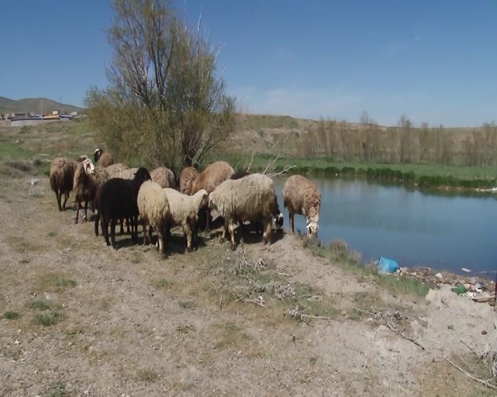 اهمیت آبخیزداری در کنترل سیلاب