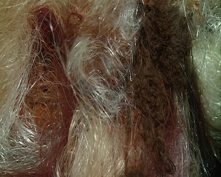 رنگدانه و فرصتهای بی شمار اقتصادی