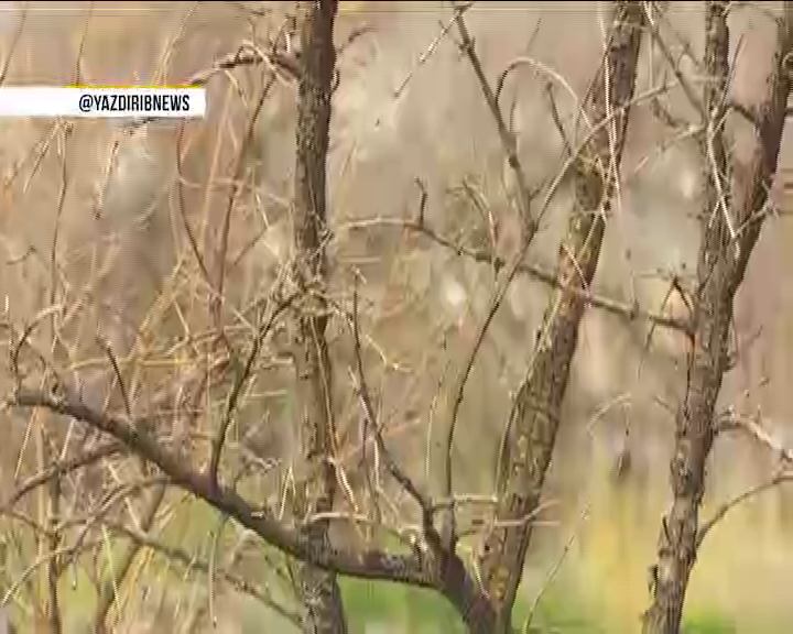 زخم معادن بر پيکره طبيعت روستايي