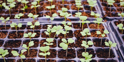 بفرمایید یک فنجان خاطره!