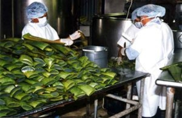 بفرمایید یک فنجان خاطره!